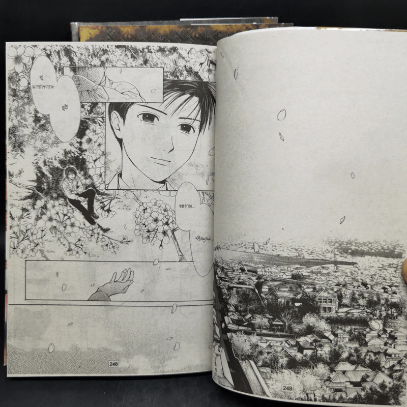 การ์ตูนวาย คว้ากลีบซากุระ 3 เล่มจบ รูปที่ 11