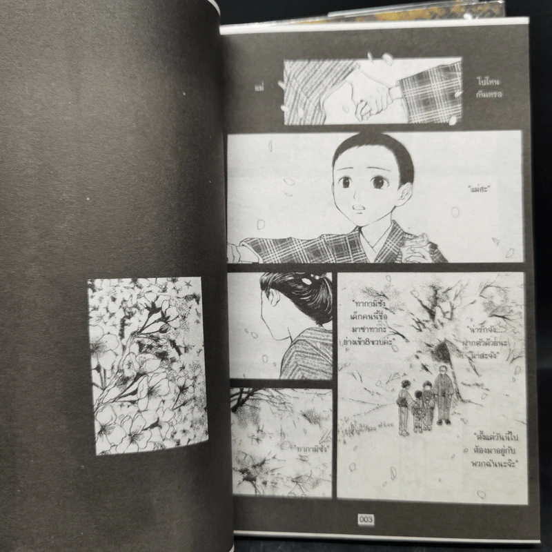 การ์ตูนวาย คว้ากลีบซากุระ 3 เล่มจบ รูปที่ 8