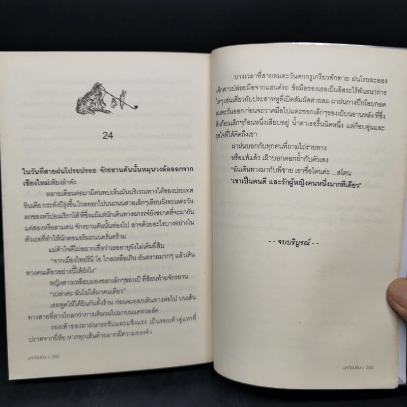 นกก้อนหิน - บินหลา สันกาลาคีรี รูปที่ 11