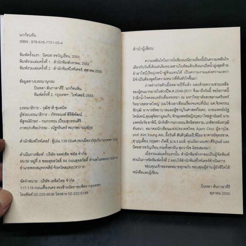 นกก้อนหิน - บินหลา สันกาลาคีรี รูปที่ 9