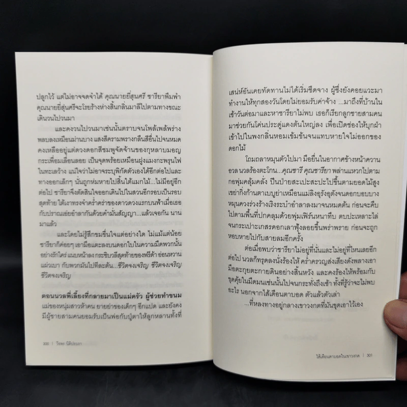 ไส้เดือนตาบอดในเขาวงกต - วีรพร นิติประภา รูปที่ 9