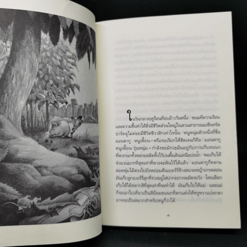 มอนตากู เจ้าหนูหัวใจศิลปะ - ทอร์ ซีดเลอร์ รูปที่ 9