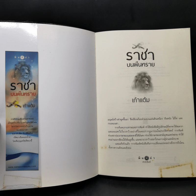 ชุดเจ้าทะเลทราย จิ้งจอกราตรี + อินทรีเหินเวหา + ราชาบนผืนทราย - เก้าแต้ม รูปที่ 15