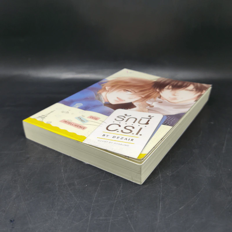 นิยายวาย รักนี้ C.S.I. - Dezair รูปที่ 7