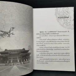 เจาะมิติพิชิตบัลลังก์ 4 เล่มจบ Boxset - ถงหัว รูปที่ 11