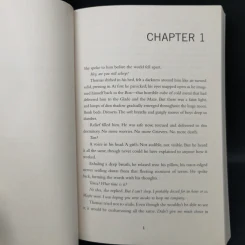 The Maze Runner Series Boxset 4 Books - James Dashner รูปที่ 12