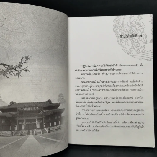 เจาะมิติพิชิตบัลลังก์ 4 เล่มจบ Boxset - ถงหัว รูปที่ 11
