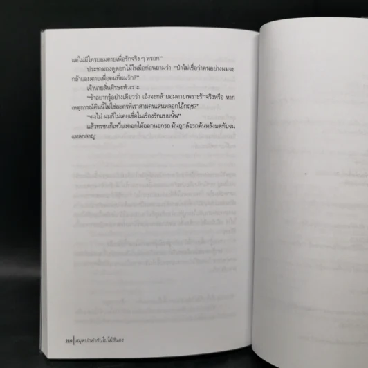 สมุดปกดำกับใบไม้สีแดง - วินทร์ เลียววาริณ รูปที่ 11