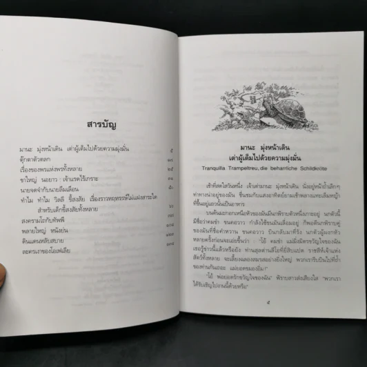 ดินแดนหลับสบาย - มิฆาเอ็ล เอ็นเต้ รูปที่ 9