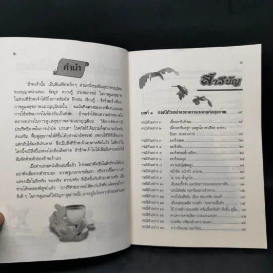 ถอดรหัสสุขภาพ เล่ม 1 ร้อน-เย็น ไม่สมดุล - ใจเพชร มีทรัพย์ (หมอเขียว) รูปที่ 9