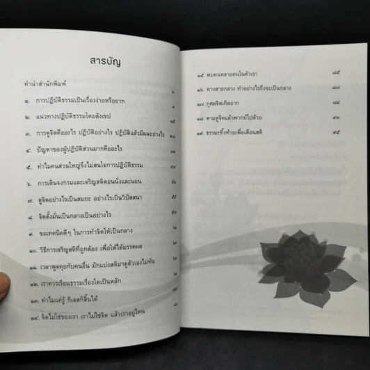 ดูจิตปีแรก - สันตินันท์ (หลวงพ่อปราโมทย์ ปาโมชโช) รูปที่ 9