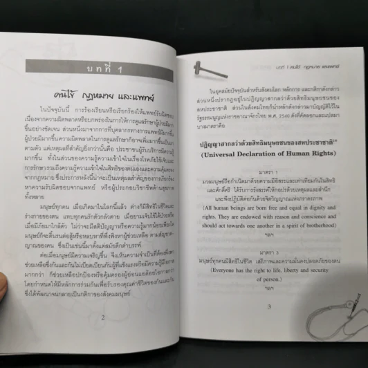 คนไข้กฎหมายและแพทย์ -วิสัย พฤกษะวัน รูปที่ 10