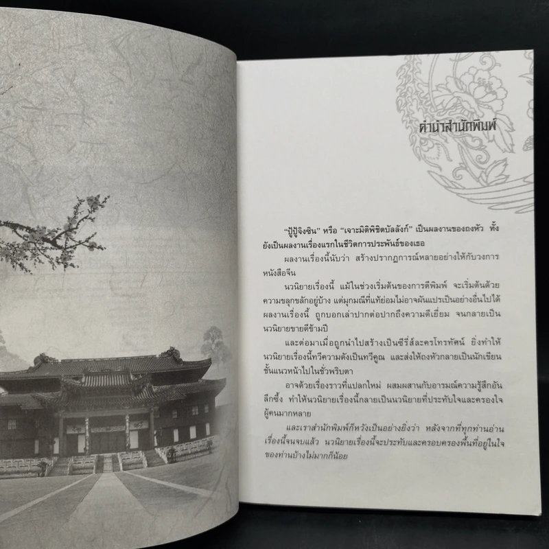 เจาะมิติพิชิตบัลลังก์ 4 เล่มจบ Boxset - ถงหัว รูปที่ 11