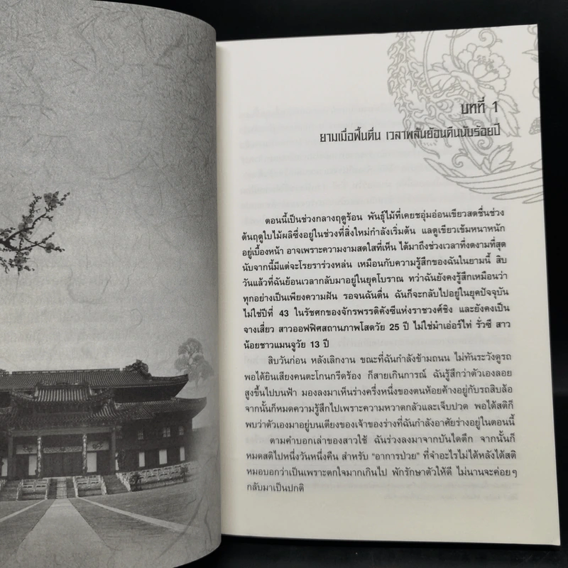 เจาะมิติพิชิตบัลลังก์ 4 เล่มจบ Boxset - ถงหัว รูปที่ 13