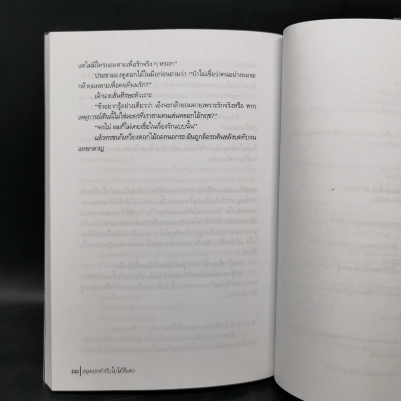 สมุดปกดำกับใบไม้สีแดง - วินทร์ เลียววาริณ รูปที่ 11