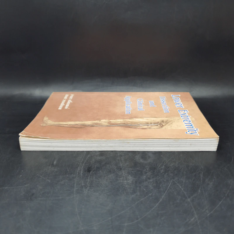 Lower Extremity (Dissection and Clinical Application) รูปที่ 5