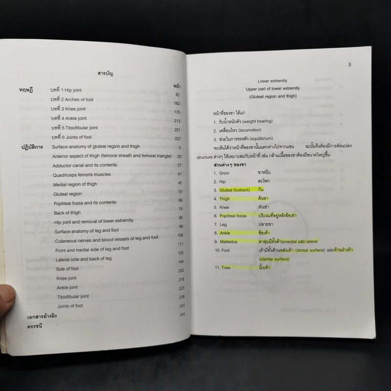 Lower Extremity (Dissection and Clinical Application) รูปที่ 9