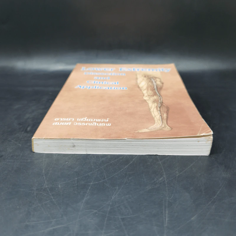 Lower Extremity (Dissection and Clinical Application) รูปที่ 4