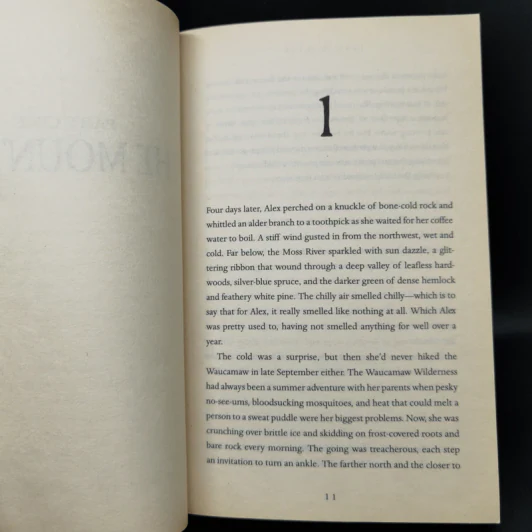Ashes - Ilsa J. Bick รูปที่ 10