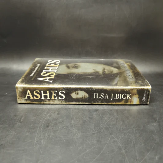 Ashes - Ilsa J. Bick รูปที่ 3