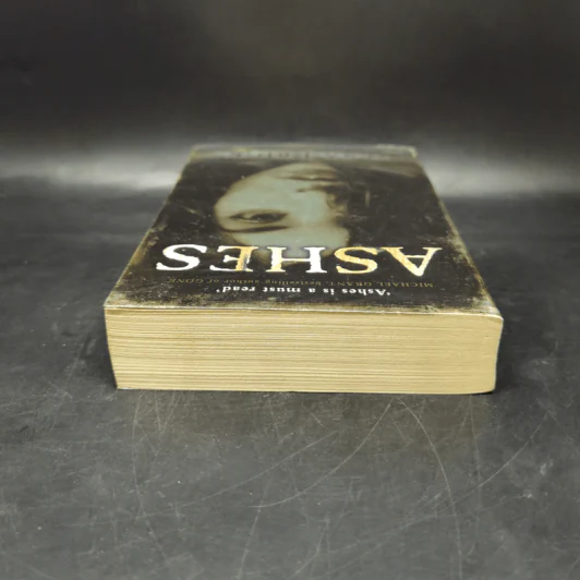 Ashes - Ilsa J. Bick รูปที่ 6