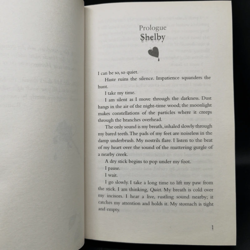 Shiver + Linger + Forever - Maggie Stiefvater รูปที่ 12