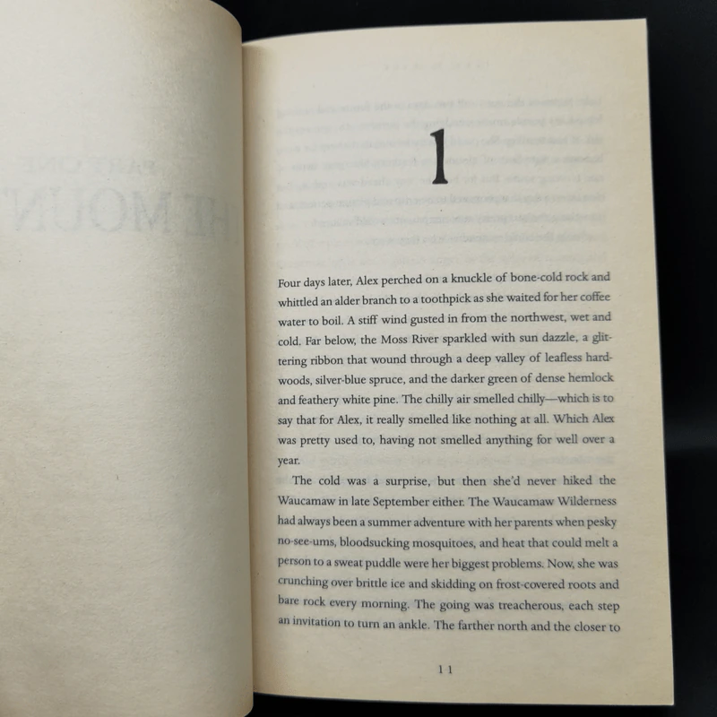 Ashes - Ilsa J. Bick รูปที่ 10