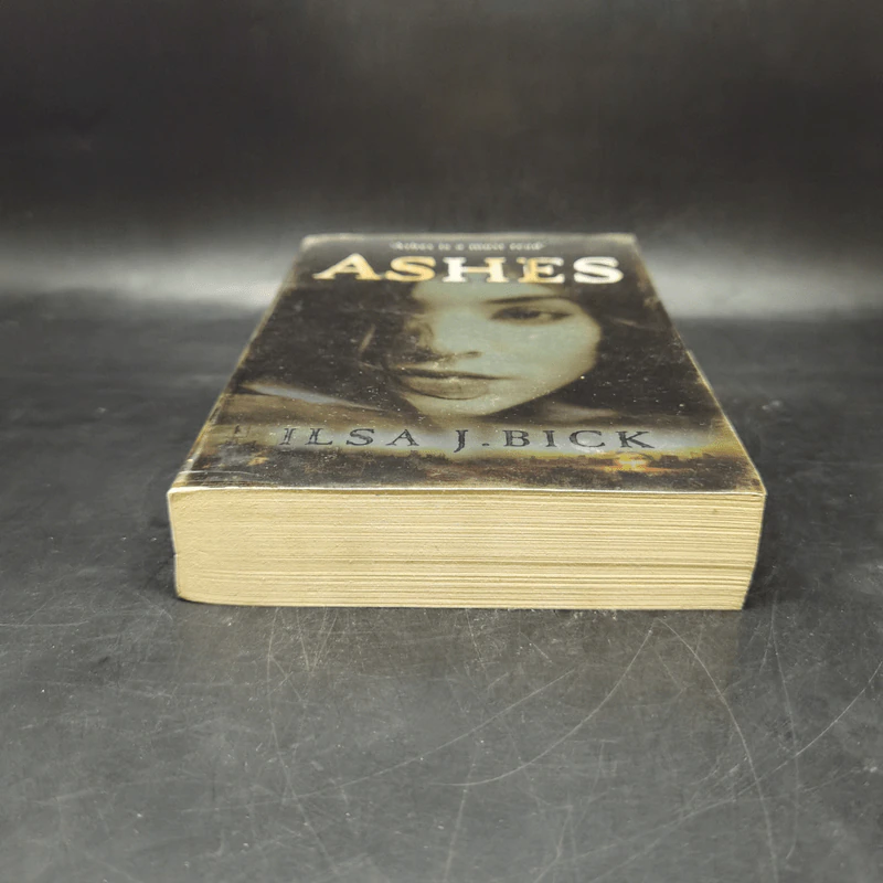 Ashes - Ilsa J. Bick รูปที่ 4