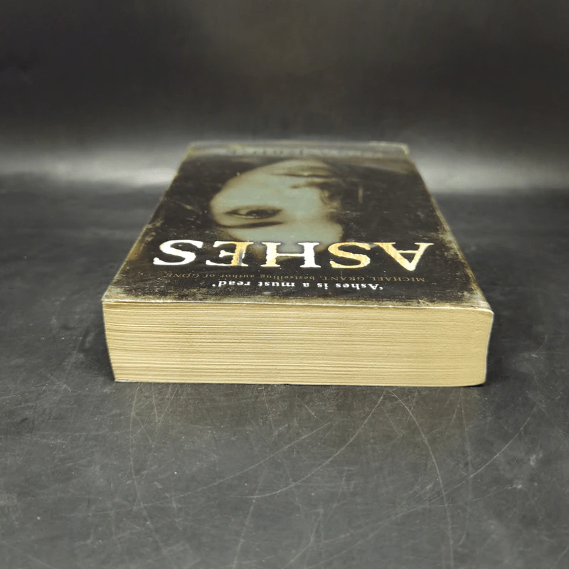 Ashes - Ilsa J. Bick รูปที่ 6
