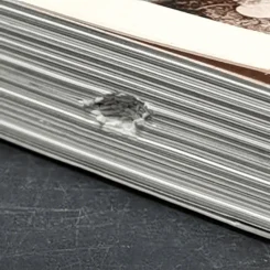 พิศเจริญ หนังสือภาพและอมตธรรมแห่งสองศรีพระศาสนา รูปที่ 8
