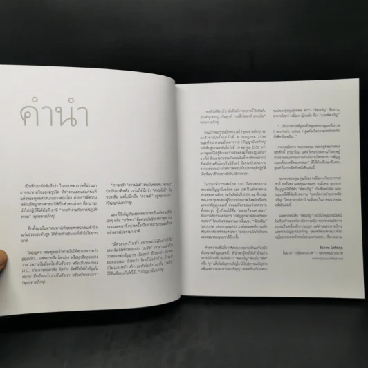 พิศเจริญ หนังสือภาพและอมตธรรมแห่งสองศรีพระศาสนา รูปที่ 11