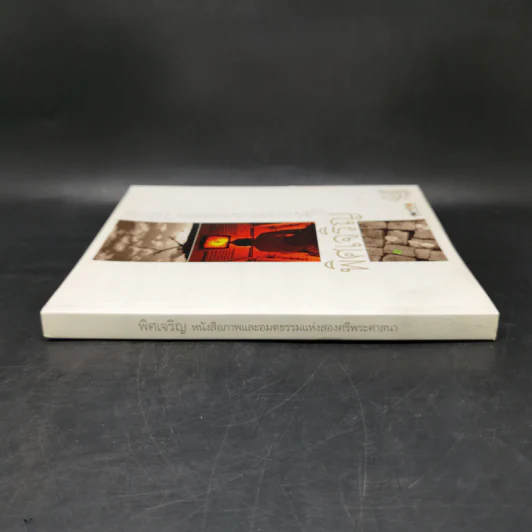 พิศเจริญ หนังสือภาพและอมตธรรมแห่งสองศรีพระศาสนา รูปที่ 3