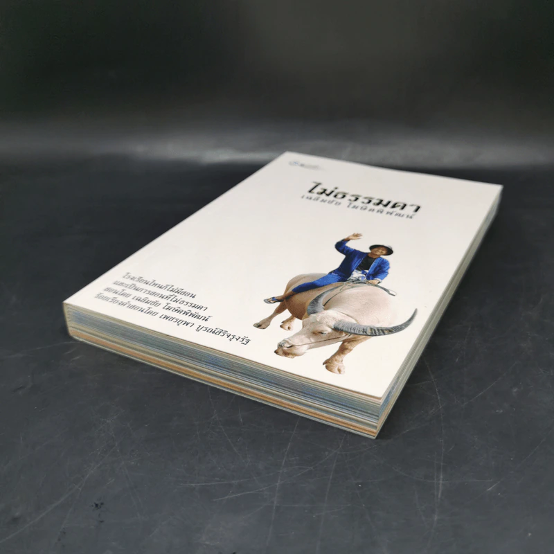 ไม่ธรรมดา Boxset - เฉลิมชัย โฆษิตพิพัฒน์ รูปที่ 9