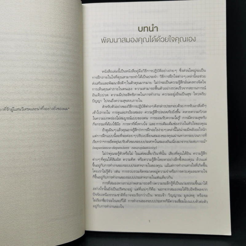 ทำทีละอย่าง Just One Thing - ดร.ริค แฮนสัน รูปที่ 11