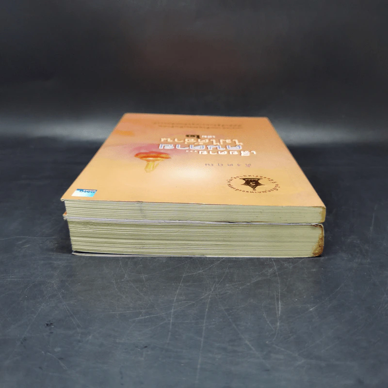 เสียดายคนตายไม่ได้อ่าน เล่ม 1-2 - ดังตฤณ รูปที่ 6