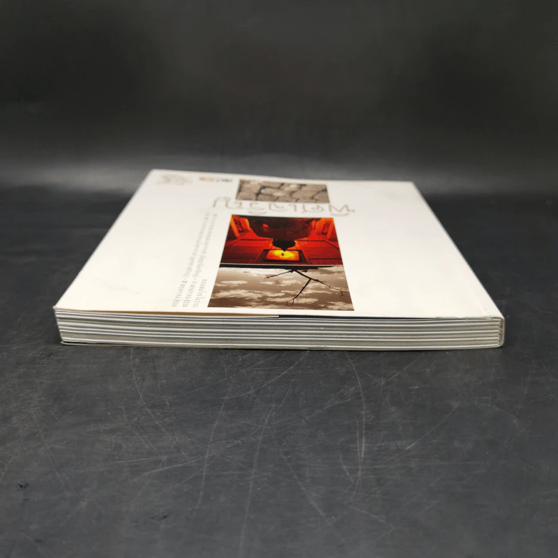 พิศเจริญ หนังสือภาพและอมตธรรมแห่งสองศรีพระศาสนา รูปที่ 6