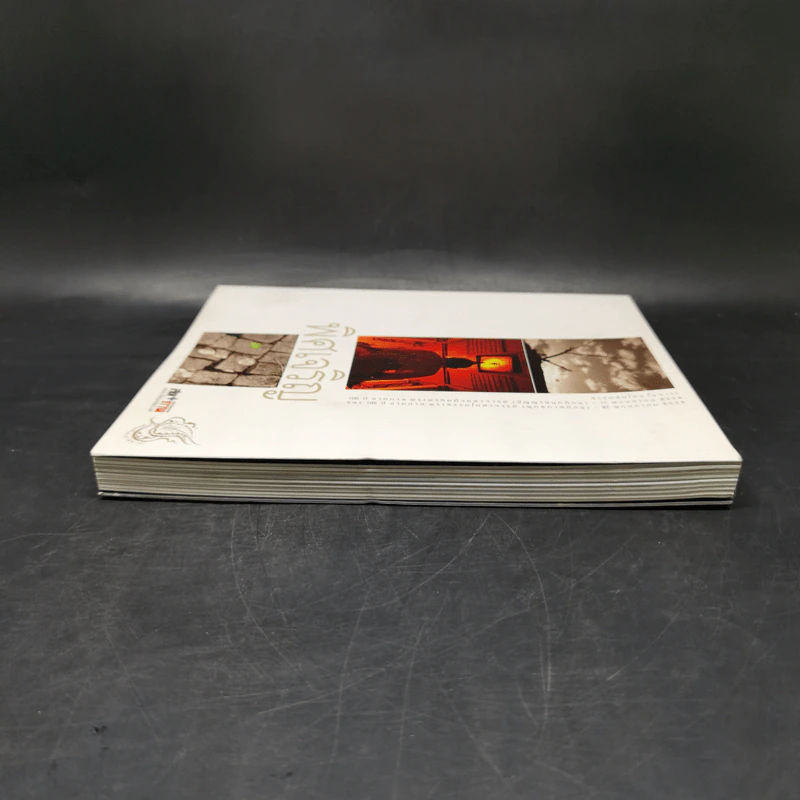พิศเจริญ หนังสือภาพและอมตธรรมแห่งสองศรีพระศาสนา รูปที่ 5