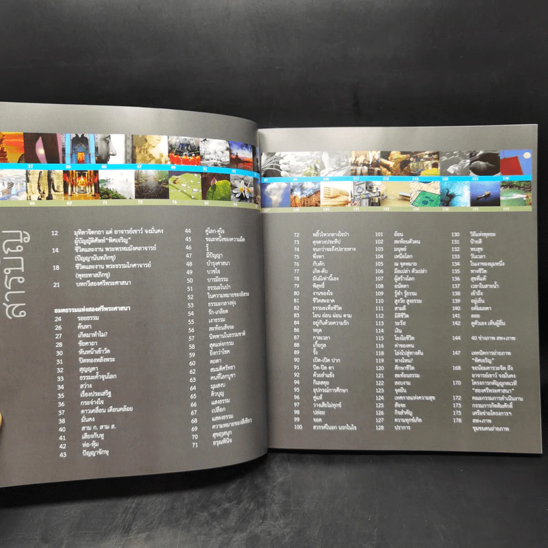 พิศเจริญ หนังสือภาพและอมตธรรมแห่งสองศรีพระศาสนา รูปที่ 12