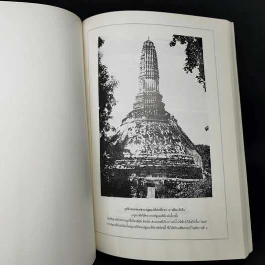 สถาปัตยกรรมในประเทศไทย - อ.นารถ โพธิประสาท รูปที่ 11