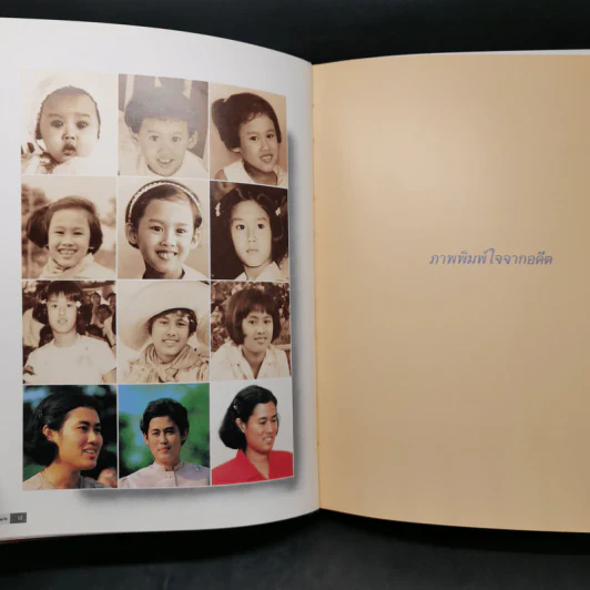ข้าแต่สมเด็จอุปนายิกา รูปที่ 11