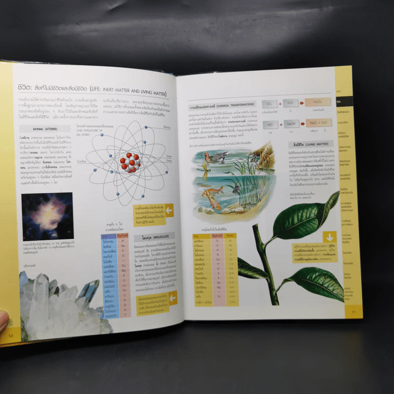 ชีววิทยา Essential Atlas of Biology รูปที่ 11