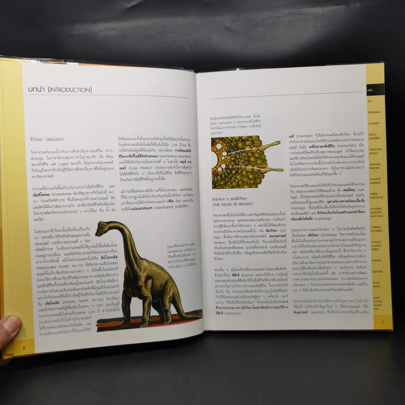 ชีววิทยา Essential Atlas of Biology รูปที่ 10