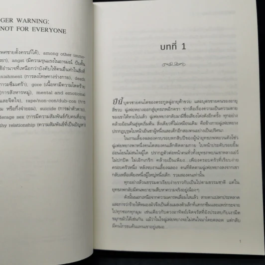 นิยายวาย เล่ห์รักประมุขพรรคมาร 3 เล่มจบ - หนานเฟิงเกอ รูปที่ 10