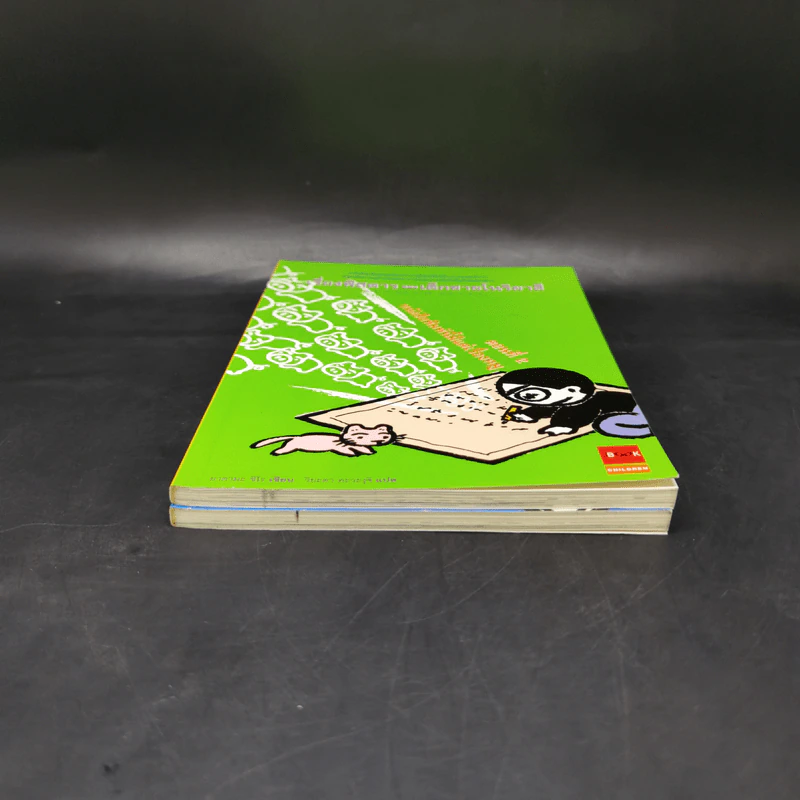 เรื่องพิสดารของเด็กชายโนริยาสึ เล่ม 1,2 รูปที่ 4
