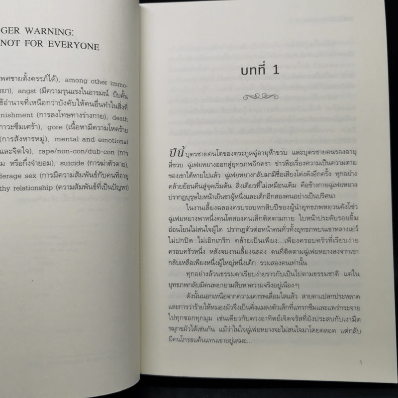 นิยายวาย เล่ห์รักประมุขพรรคมาร 3 เล่มจบ - หนานเฟิงเกอ รูปที่ 10