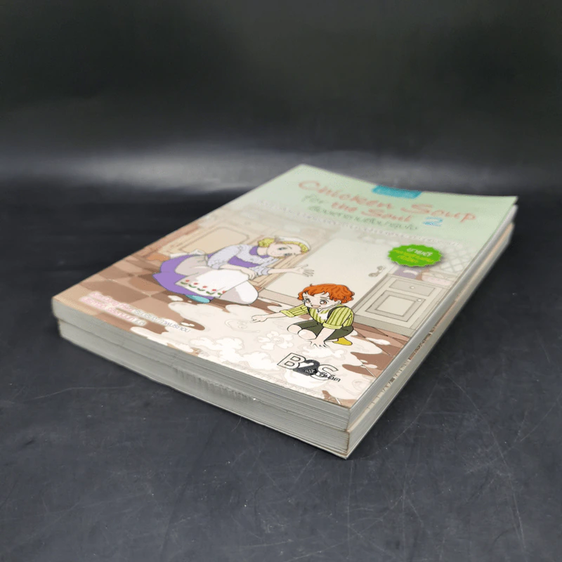 Chicken Soup for the Soul เรื่องเล่าซาบซึ้งบำรุงใจ ฉบับการ์ตูน เล่ม 1-2 รูปที่ 7