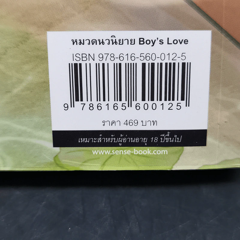 นิยายวาย ช่วยด้วยครับ ผมเกิดใหม่เป็นลูกชายประมุขพรรคมาร - anonymouslycat รูปที่ 12