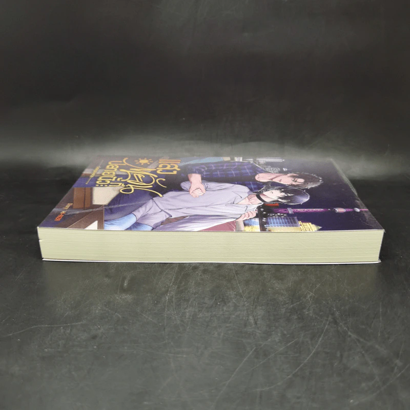 นิยายวาย แสงตะวันที่ปลายนิ้ว - HI-RIZA รูปที่ 5