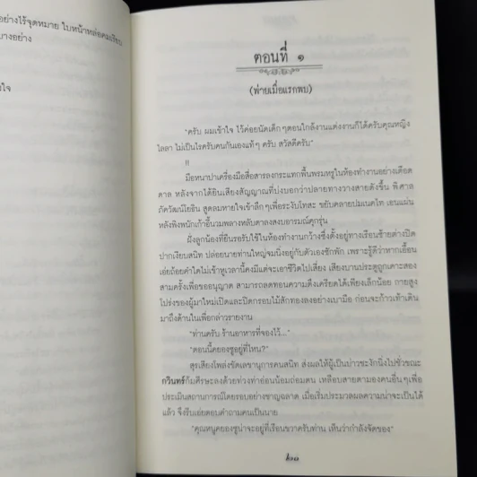 พ่าย - PANGL รูปที่ 10