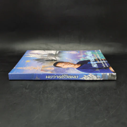 ผมวาดชีวิตผม - เฉลิมชัย โฆษิตพิพัณน์ รูปที่ 3